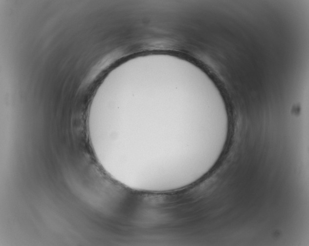 X0000113851211200910151203