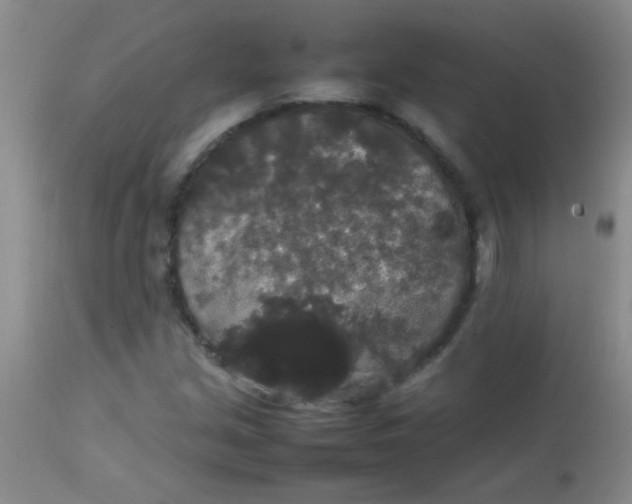 X0000113851213200910151203