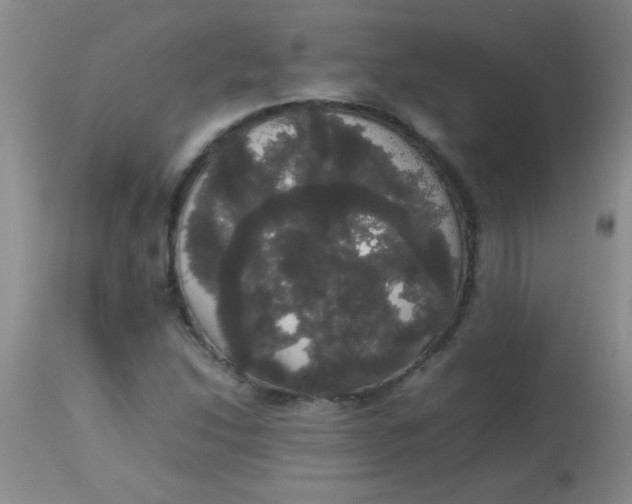 X0000113851214200910151203