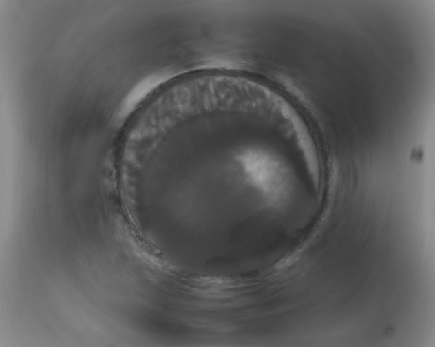 X0000113851215200910151203