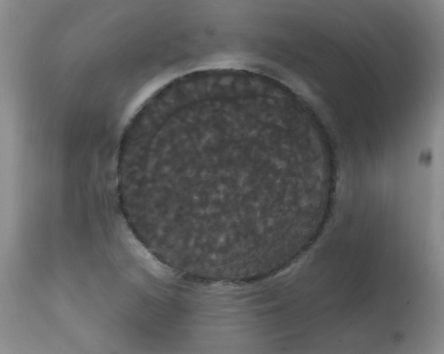 X0000113851216200910151203