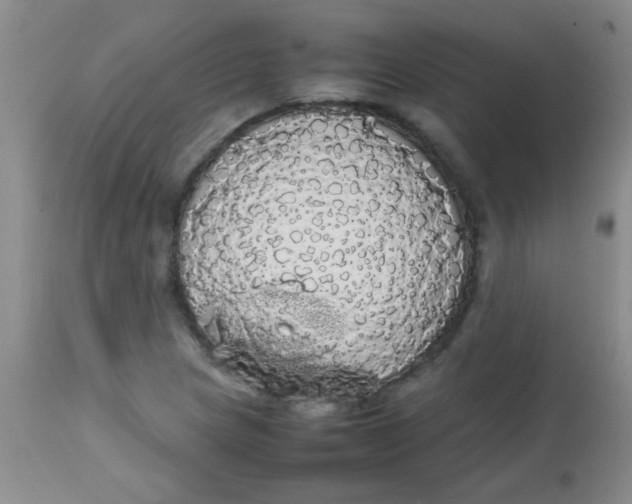 X0000113851217200910151203