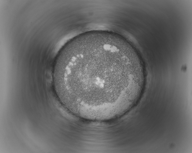 X0000113851218200910151203