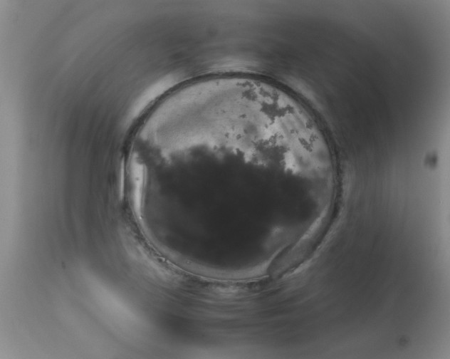 X0000113851219200910151203