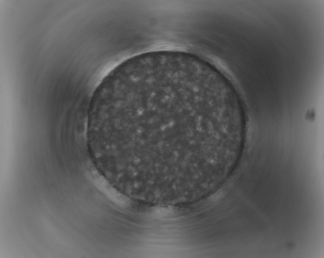 X0000113851220200910151203