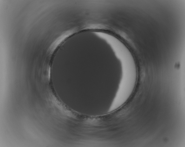 X0000113851221200910151204