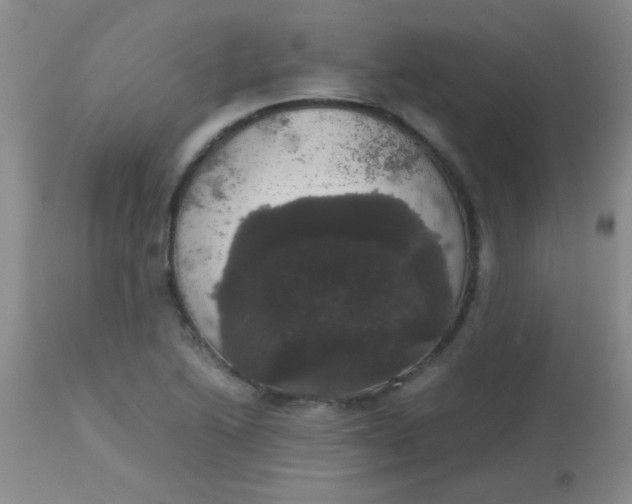 X0000113851222200910151204