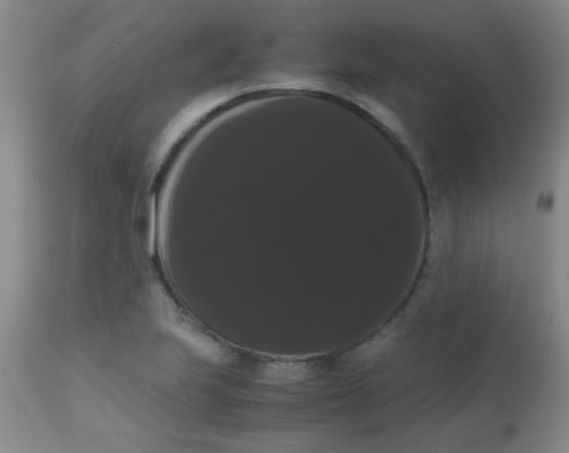 X0000113851223200910151204