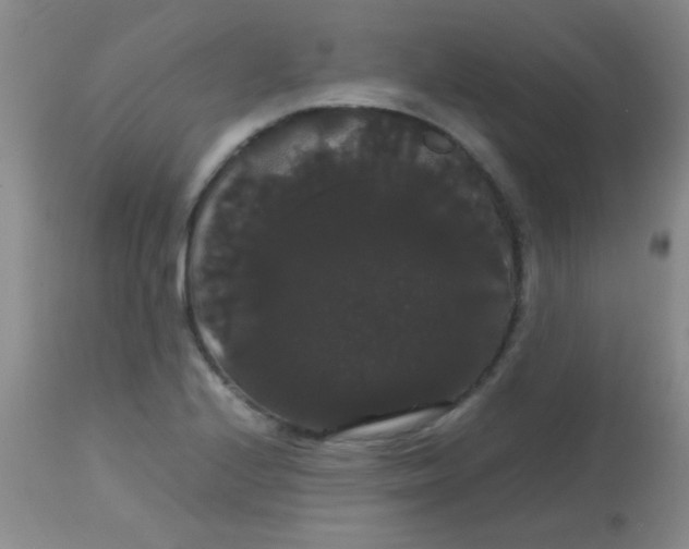 X0000113851224200910151204