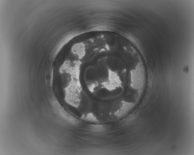 X0000113851227200910151204