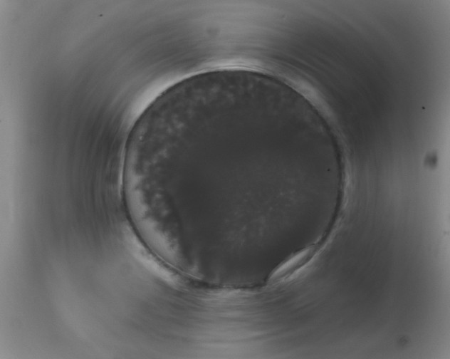 X0000113851228200910151204