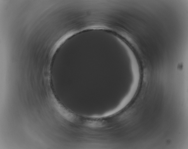 X0000113851229200910151204