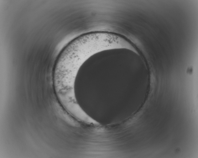 X0000113851230200910151204