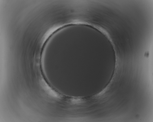 X0000113851231200910151204