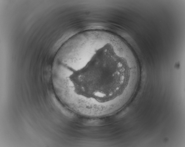 X0000113851233200910151204