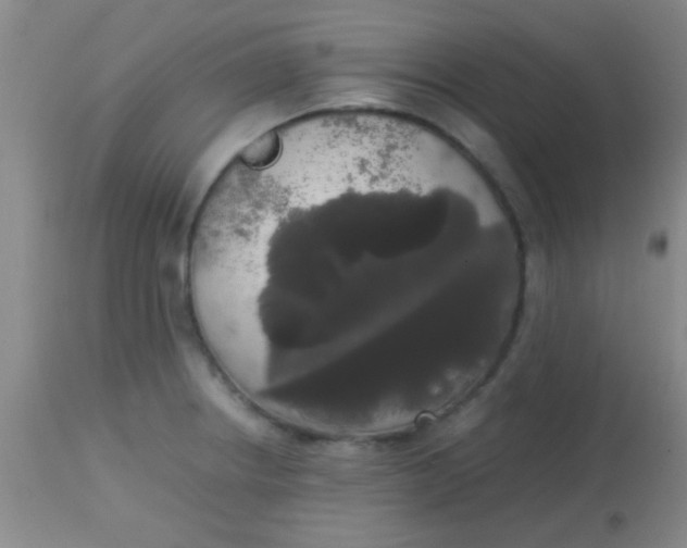 X0000113851234200910151204