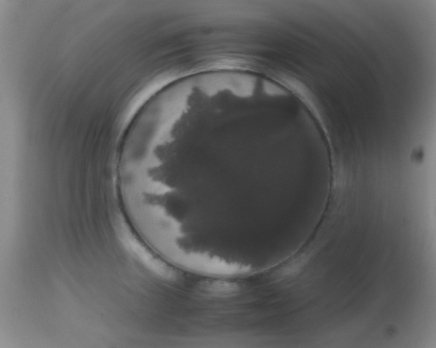 X0000113851235200910151204