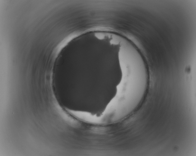 X0000113851237200910151204