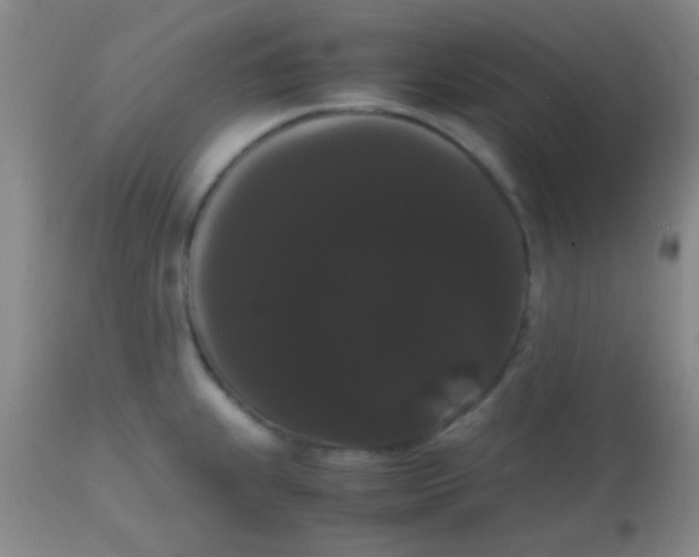 X0000113851239200910151204