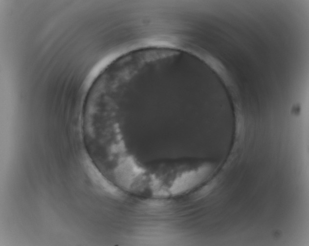 X0000113851240200910151204