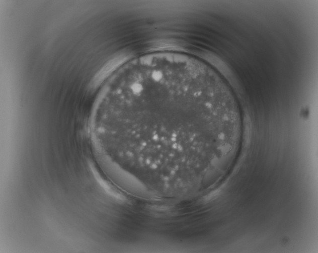 X0000113851241200910151204