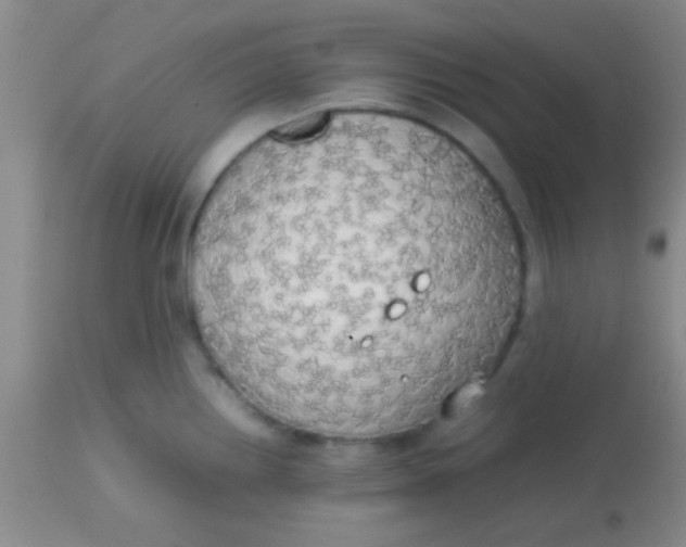 X0000113851242200910151204