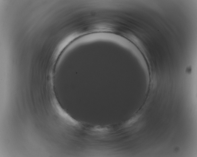 X0000113851243200910151204