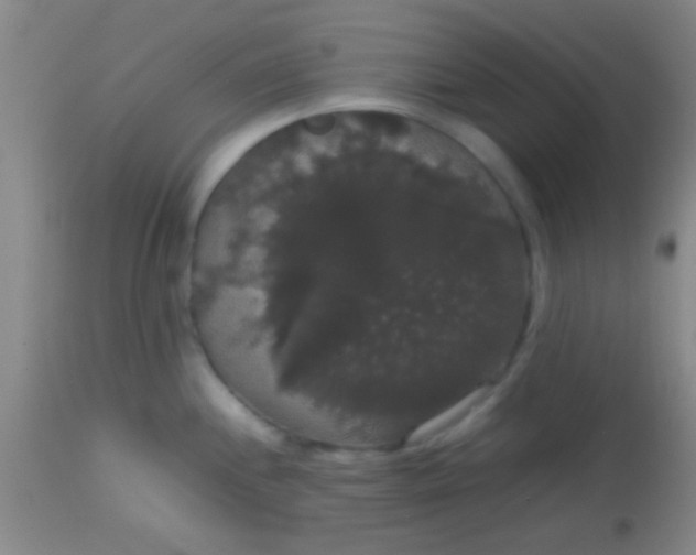 X0000113851244200910151204