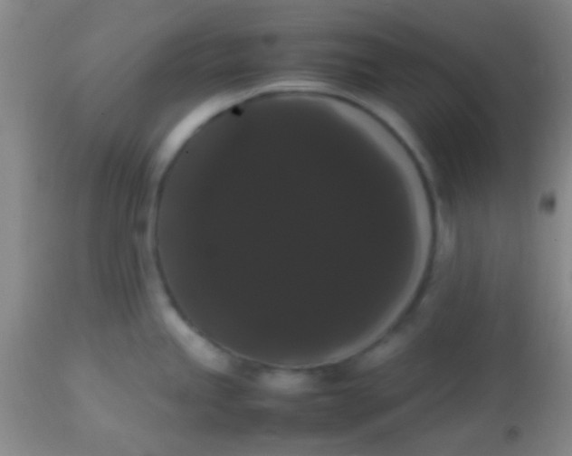 X0000113851245200910151204