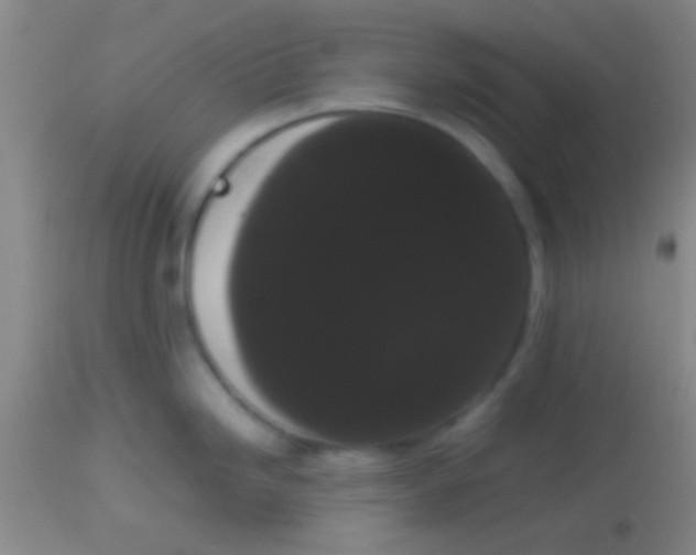 X0000113851246200910151204