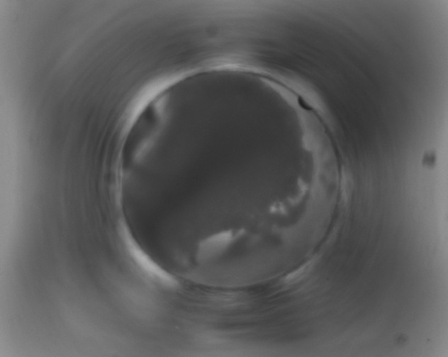 X0000113851247200910151204