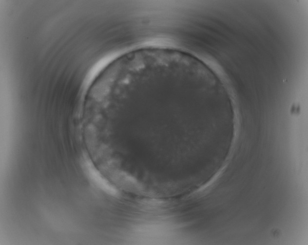 X0000113851248200910151204