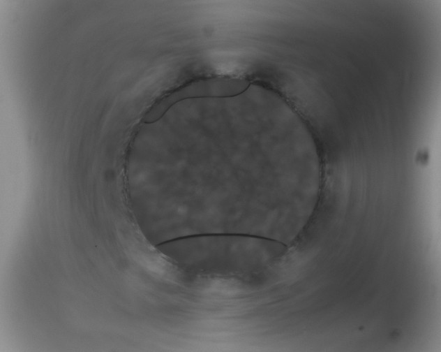 X0000113851249200910151203