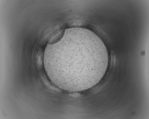 X0000113851250200910151203