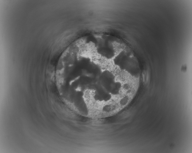 X0000113851251200910151203