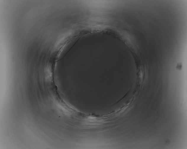 X0000113851252200910151203