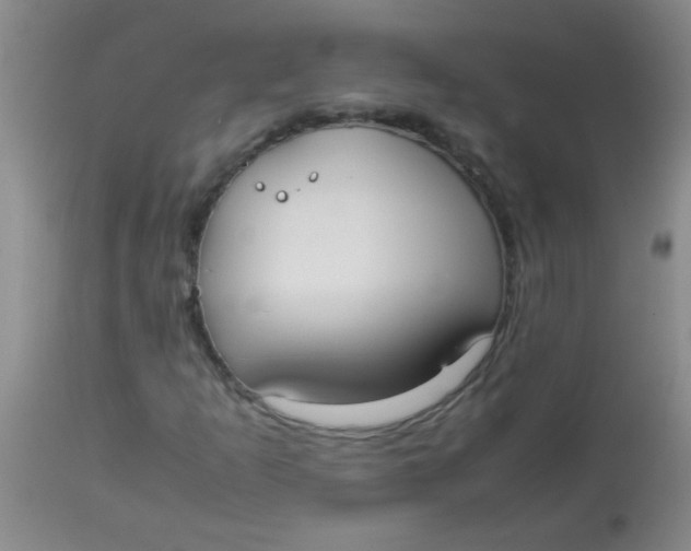 X0000113851253200910151203