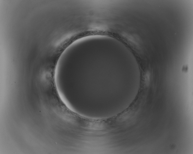 X0000113851254200910151203