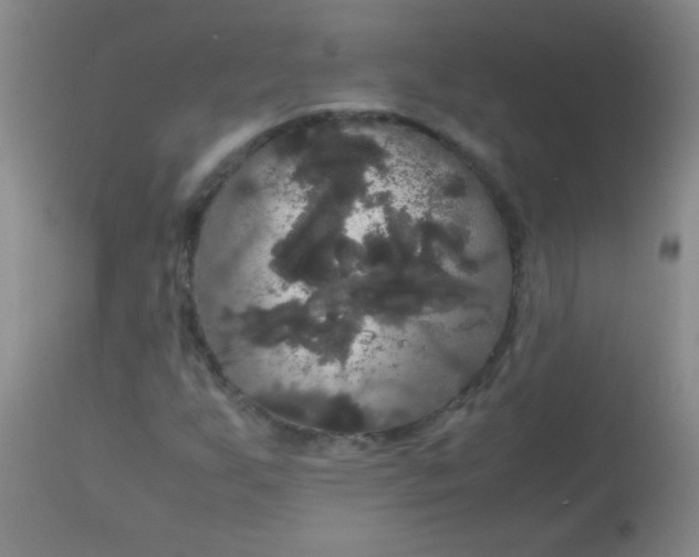 X0000113851255200910151203