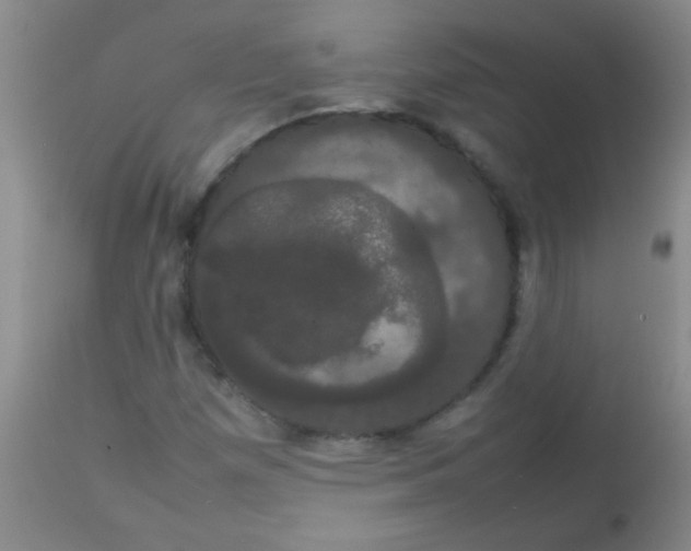 X0000113851257200910151203