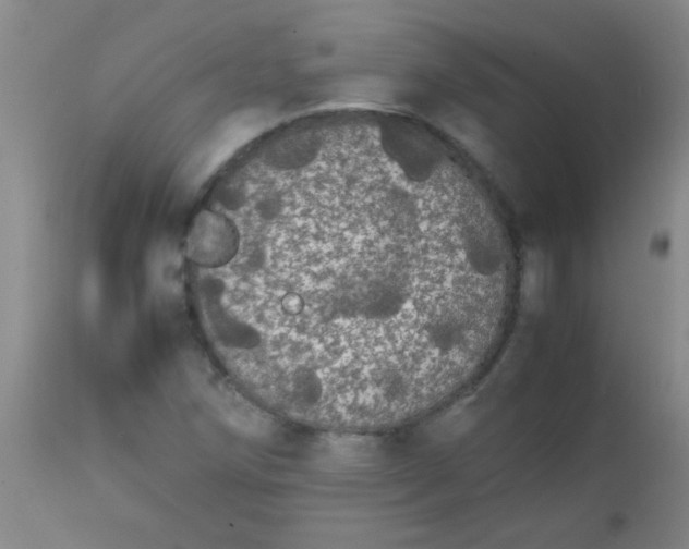 X0000113851258200910151203