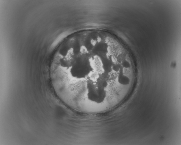 X0000113851259200910151203