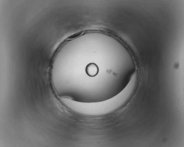 X0000113851260200910151203