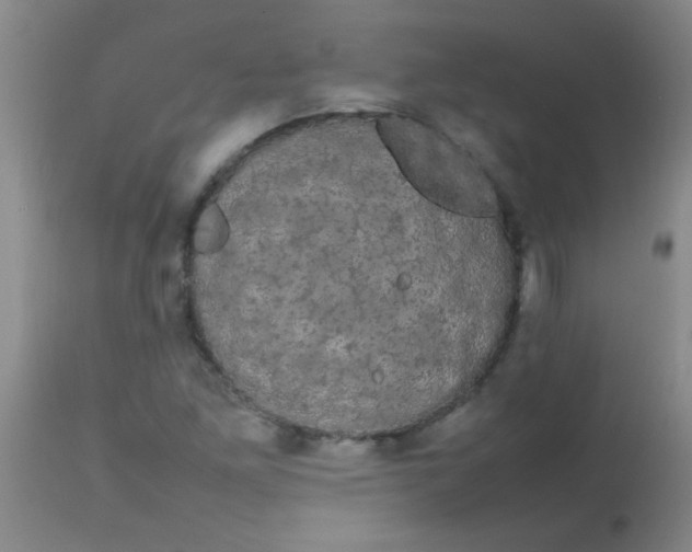 X0000113851261200910151203