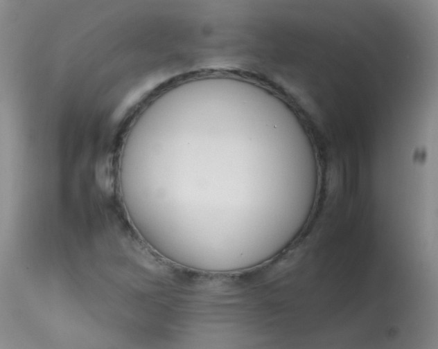 X0000113851262200910151203