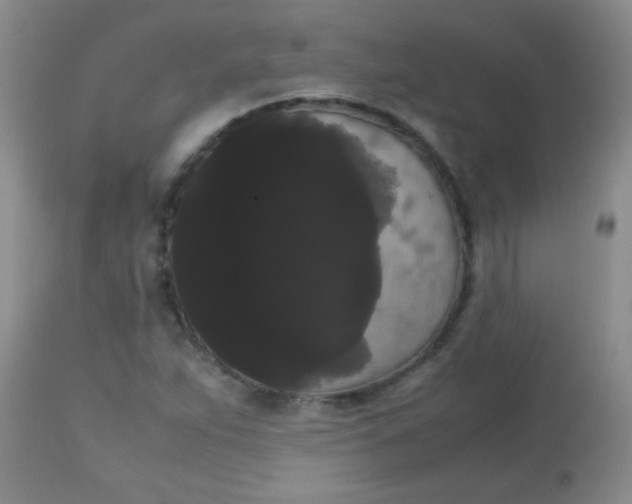 X0000113851263200910151203