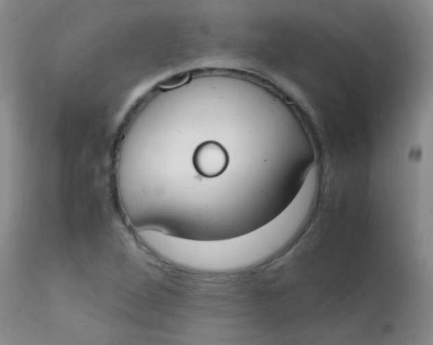 X0000113851264200910151203