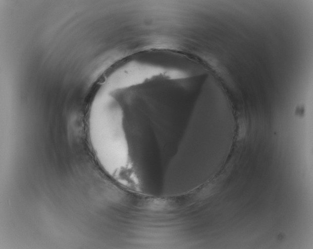 X0000113851266200910151203