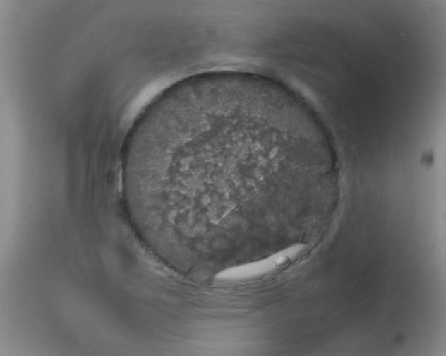 X0000113851267200910151203