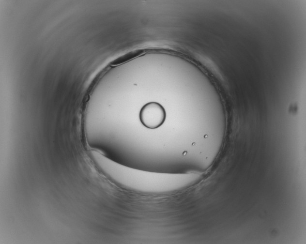 X0000113851268200910151203